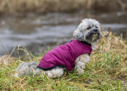 Trixie Mantel Arlay – Hundemantel beere XXS