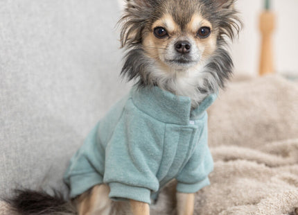 Trixie Sweatshirt Littleton - Hundepullover mint XXS