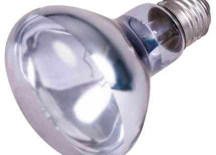 Trixie Neodym Wärmespot-Lampe - 35W Terrarienlampe weiss