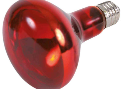 Trixie Infrarot Wärme-Spotlampe – 50 W Terrarienlampe