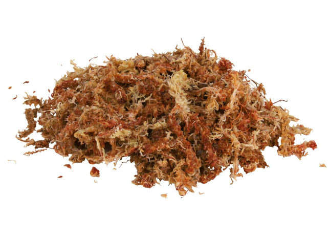 Trixie Terrarienmoos - tropisches Substrat, 4,5 l