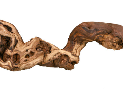 Trixie Weinrebe - Wassergestrahlte Terrariendekoration 5 Stück