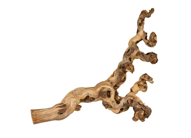 Trixie Weinrebe XL - Wassergestrahlt, 6 Stück