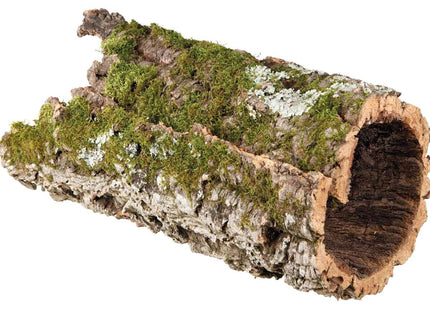 Trixie Korkröhre XL - Naturkork für Reptilien