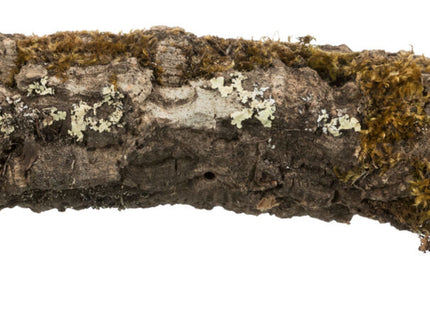 Trixie Korkröhre XS-S - natürliche Korkröhre klein