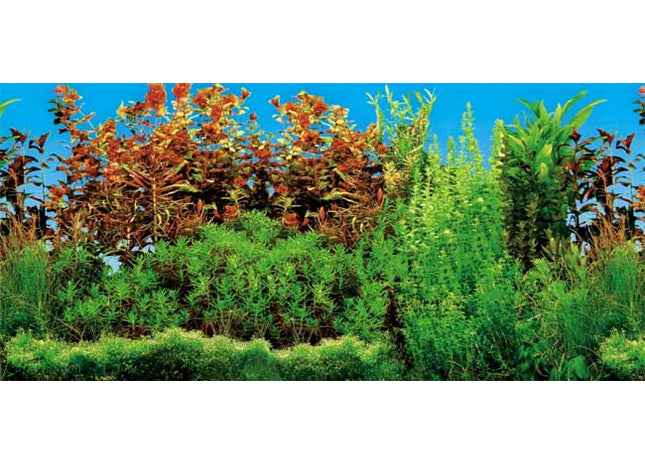 Trixie Aquarien-Rückwand doppelt Süsswasser