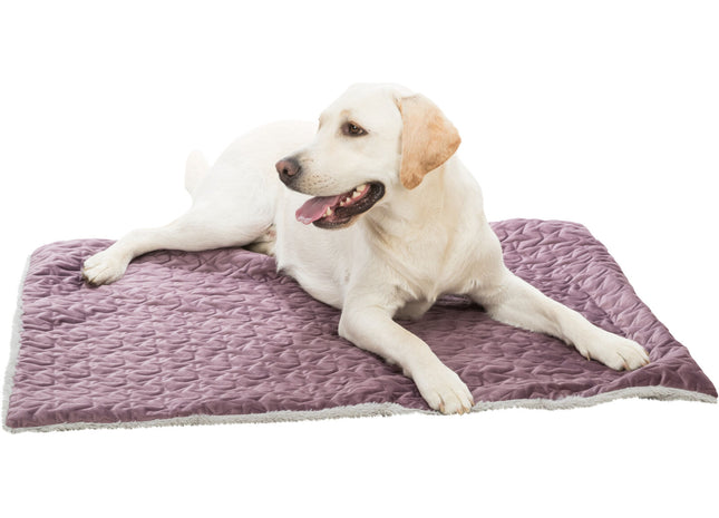 Trixie Decke Estelle – Hundedecke beere/grau 100×70cm