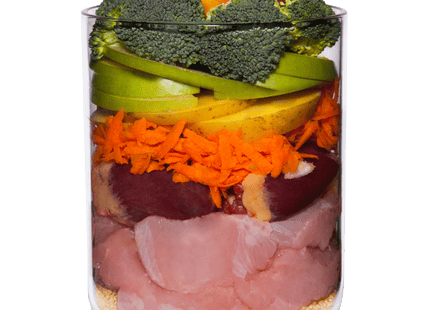 Terra Canis Classic – Hundemenü Pute 200g