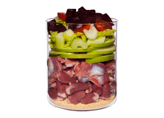 Terra Canis Classic - getreidearmes Hundefutter 400g