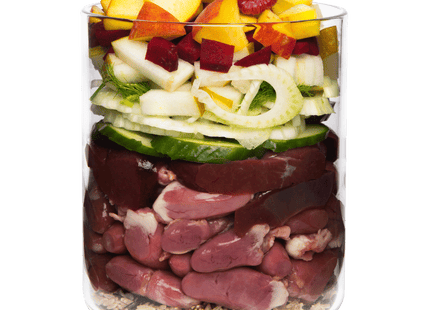 Terra Canis Classic Ente - getreidearmes Nassfutter 400g