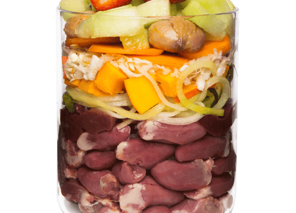 Terra Canis Nassfutter – Ente mit Kürbis und Erdbeeren