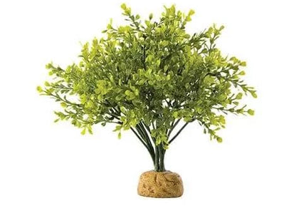 Boxwood Bush - Purrfect Pets™ 