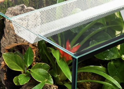 Diversa - Terraset Turtle 60